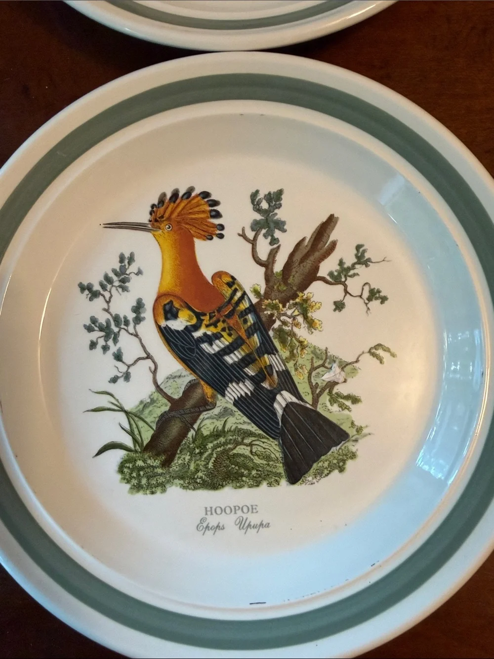 Portmeirion Birds of Britain Salad Plates in Green and White - Set of 6